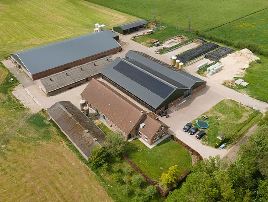 Van de Kamp-Vliek testimonial