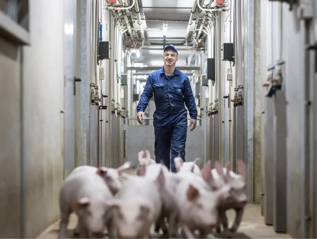 Raf Claes testimonial